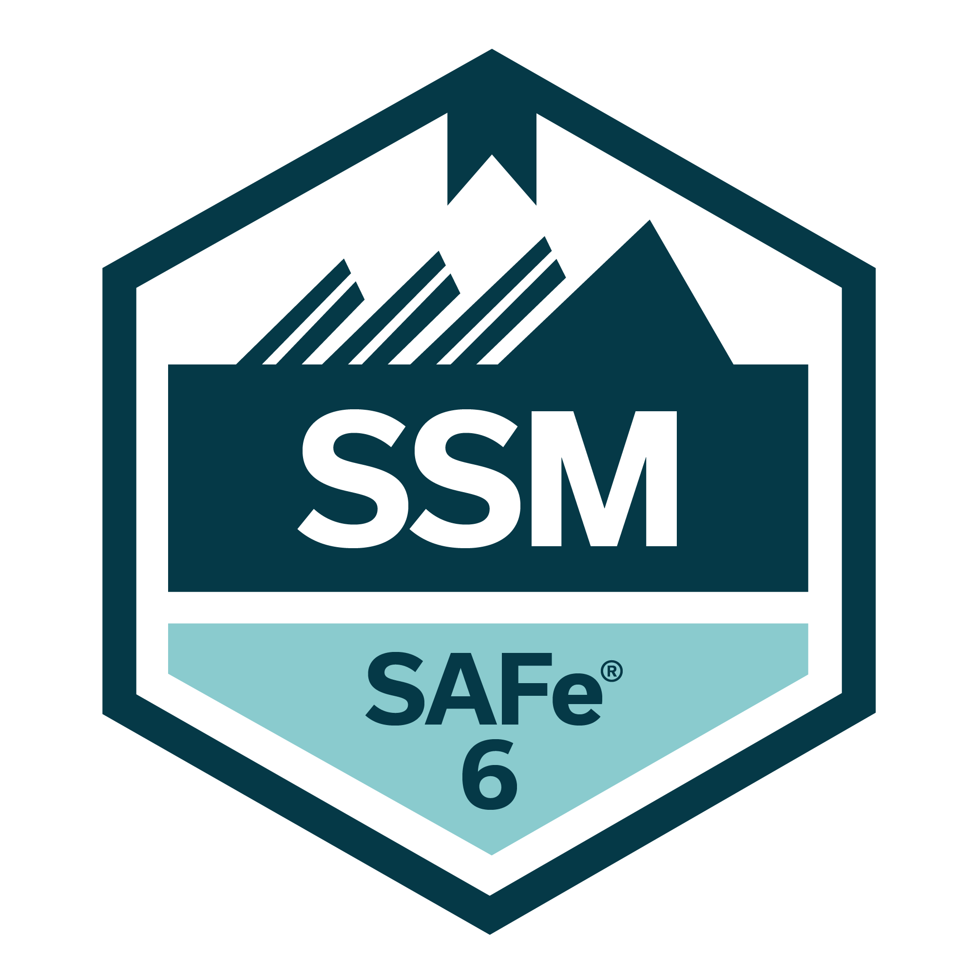 Certified SAFe 6 Scrum Master